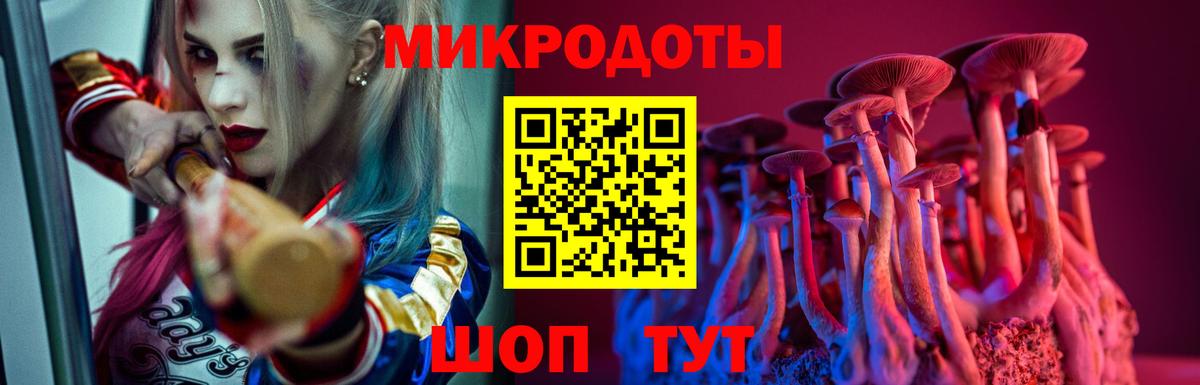 Галлюциногенные грибы Psilocybine cubensis Усть-Илимск